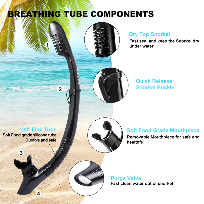 Adult Snorkel And Flipper Set